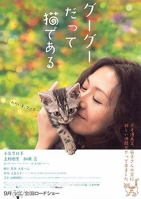 Кот по имени Гу-Гу - постер
